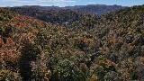 Photo #5: Tbd Yellow Creek Road