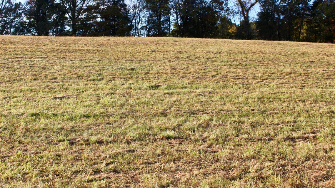 Photo #2: Tbd Fall Creek Road