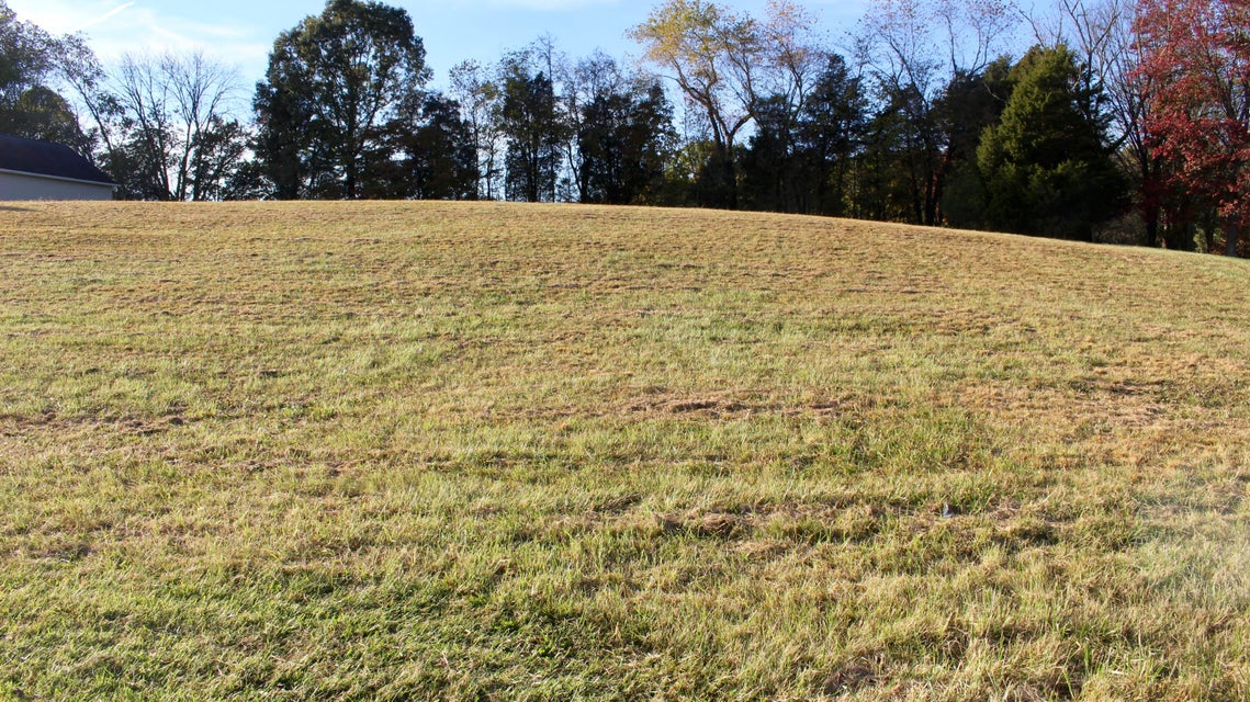Photo #4: Tbd Fall Creek Road