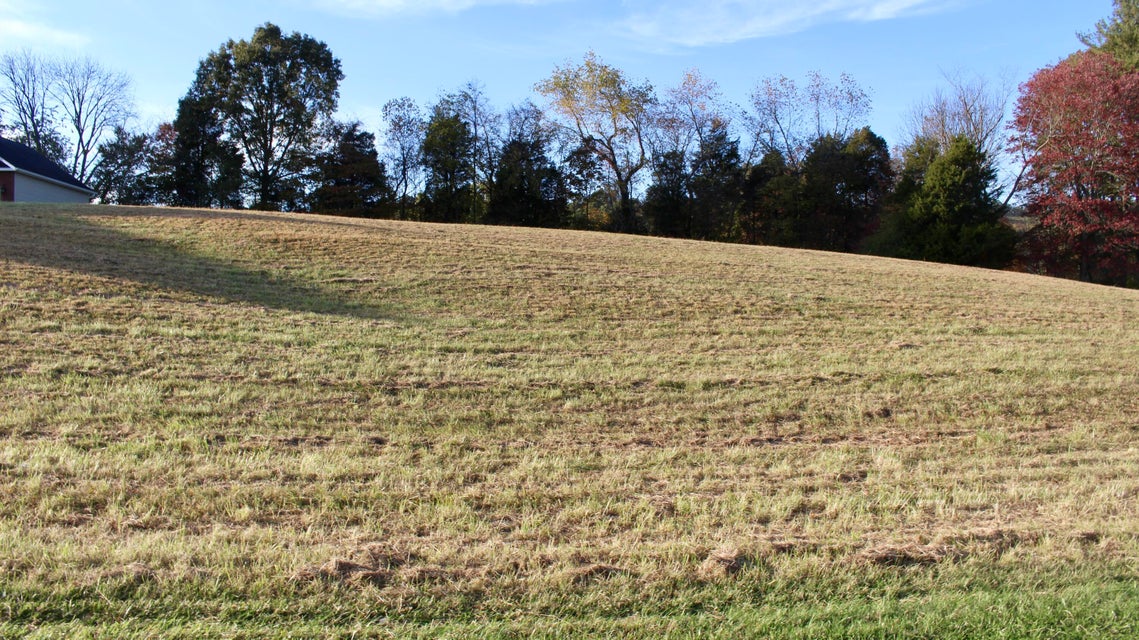 Photo #9: Tbd Fall Creek Road