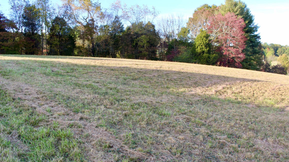 Photo #10: Tbd Fall Creek Road