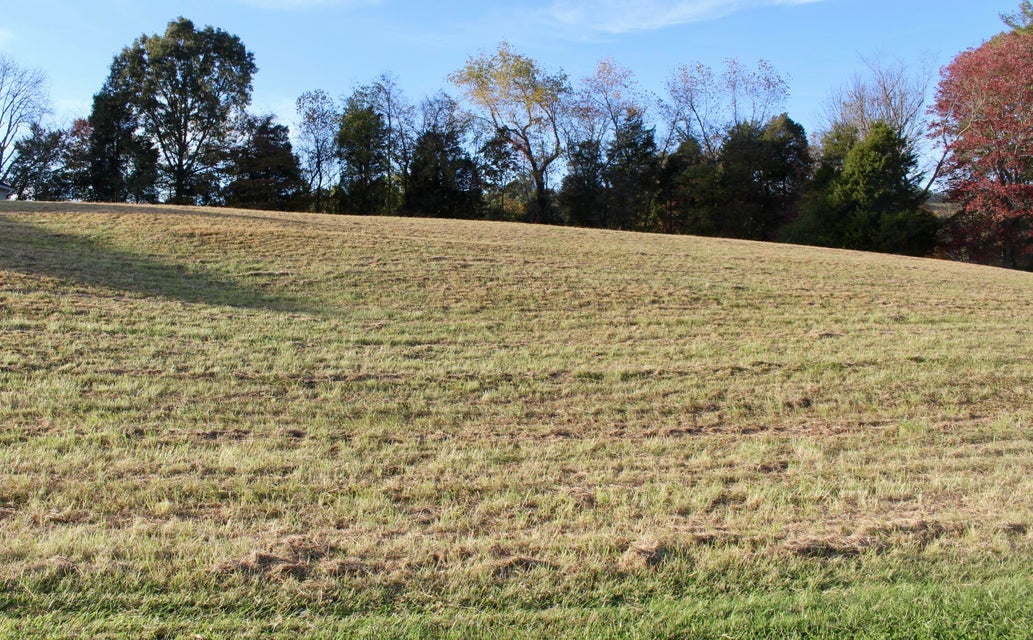 Photo #11: Tbd Fall Creek Road
