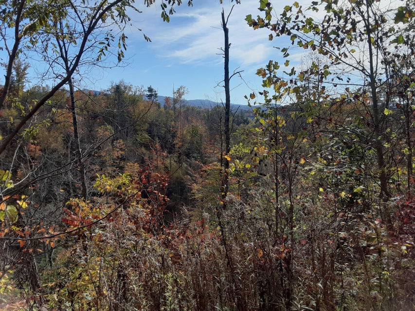 Photo #27: Tbd Greer Branch Road