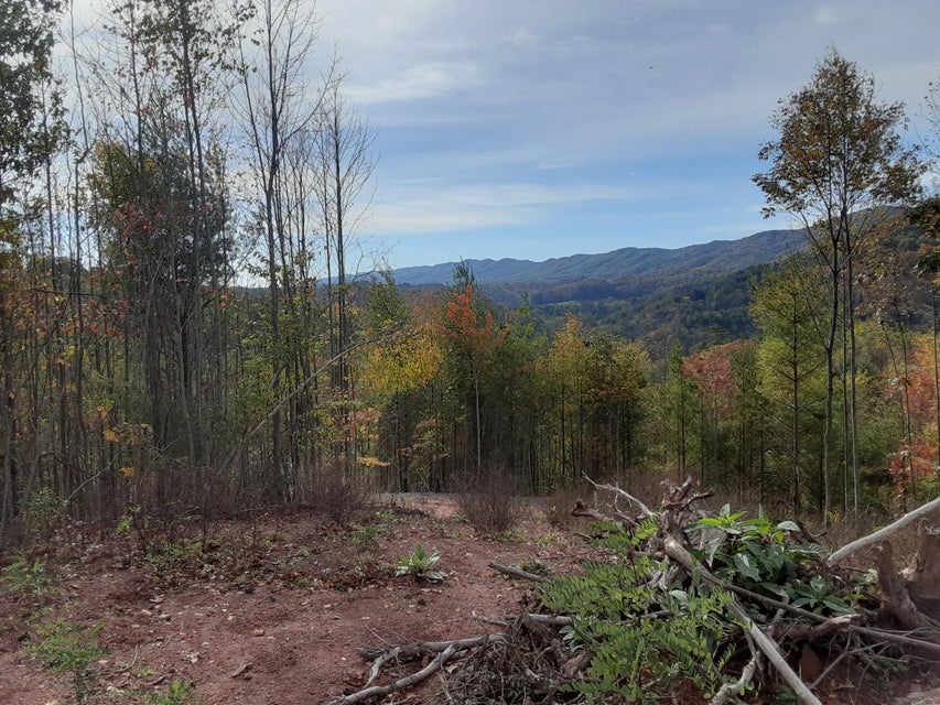 Photo #14: Tbd Greer Branch Road