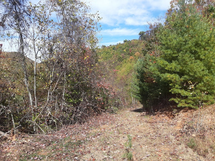 Photo #24: Tbd Greer Branch Road