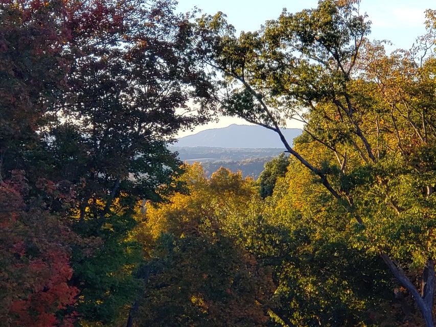 Photo #10: 351 Mountain Creek Court