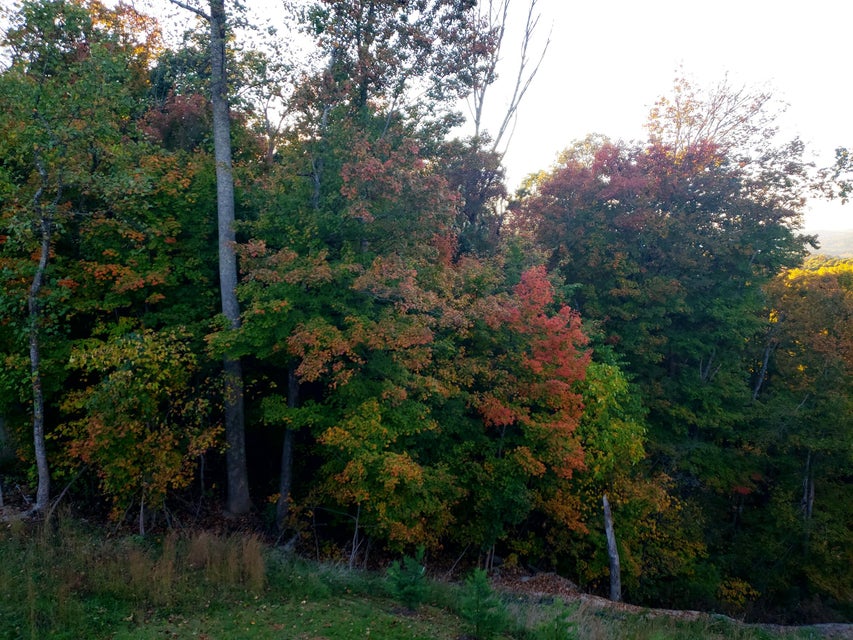 Photo #11: 351 Mountain Creek Court