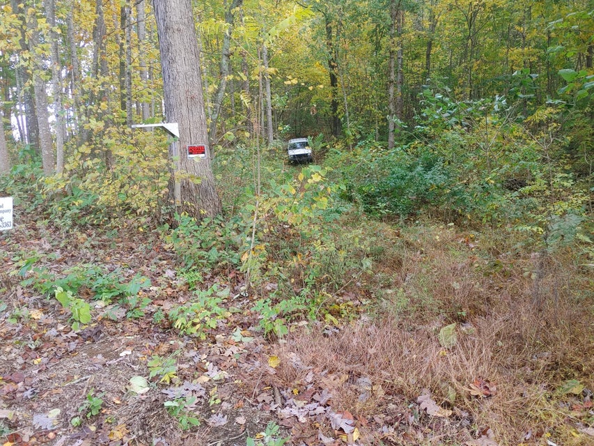 Photo #2: 0000 Conklin Road