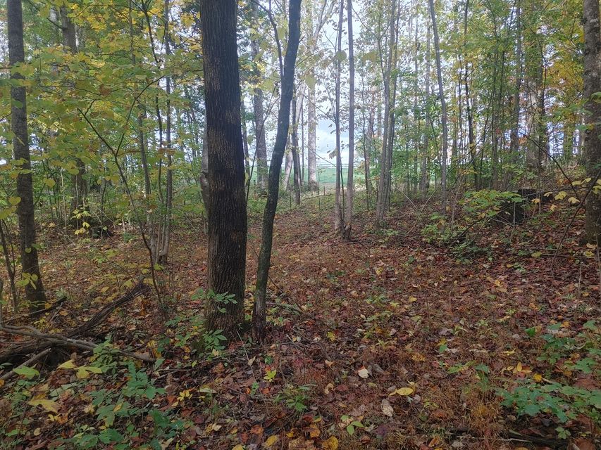 Photo #4: 0000 Conklin Road