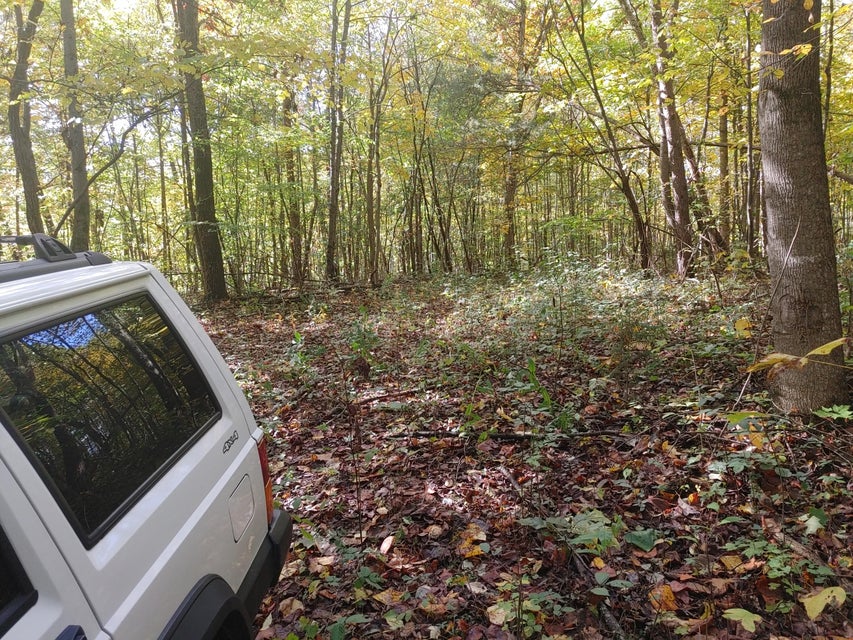 Photo #5: 0000 Conklin Road