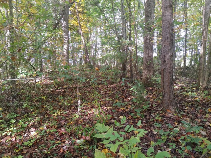 Photo #6: 0000 Conklin Road