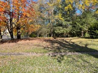 Photo #12: 106 Sycamore Avenue