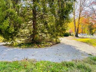 Photo #13: 106 Sycamore Avenue