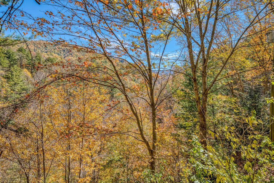 Photo #33: 5908 Highway 421