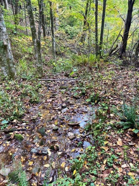 Photo #7: Tbd Old Asheville Highway Highway