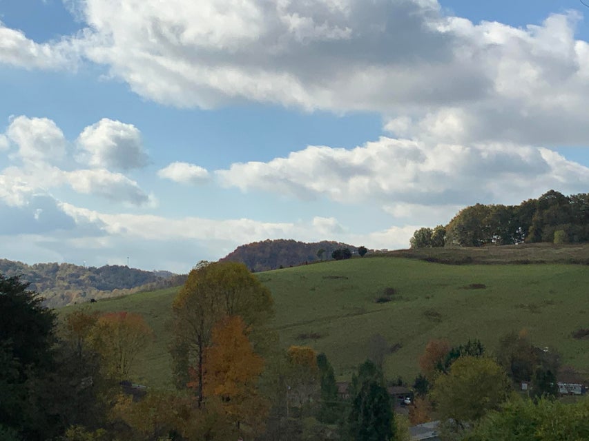 Photo #40: 209 Woods Edge Dr