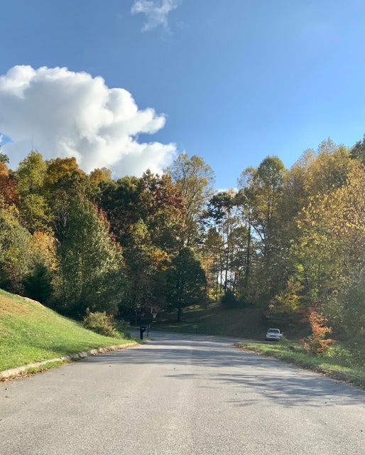 Photo #5: 209 Woods Edge Dr