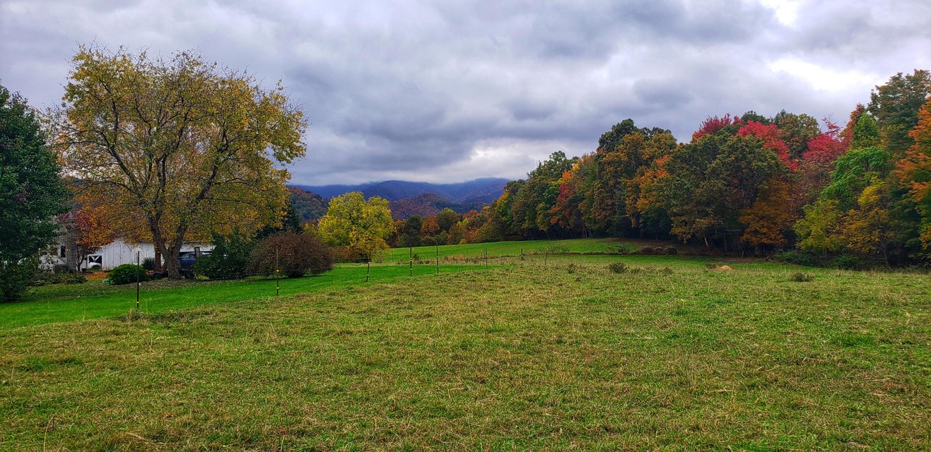 Photo #11: 1290 Horse Creek Park Road