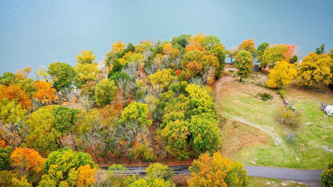 Photo #2: 790 Blue Heron Lane