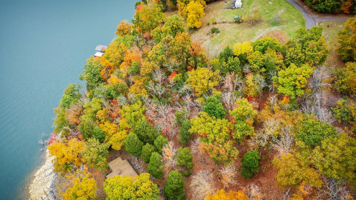 Photo #4: 790 Blue Heron Lane