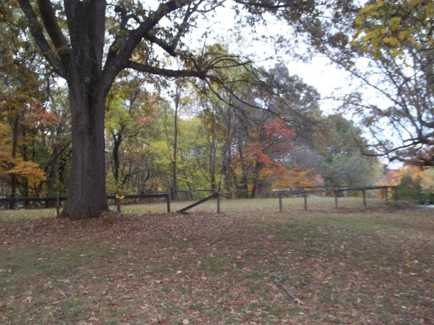 Photo #4: 520 Ivy Lane