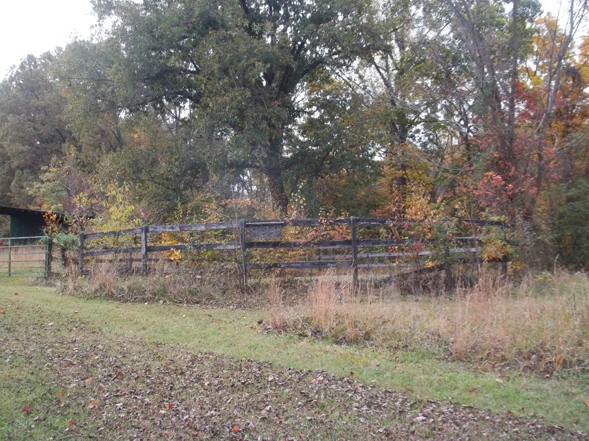 Photo #12: 520 Ivy Lane