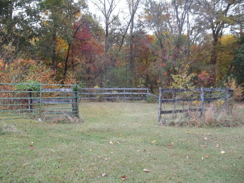 Photo #13: 520 Ivy Lane