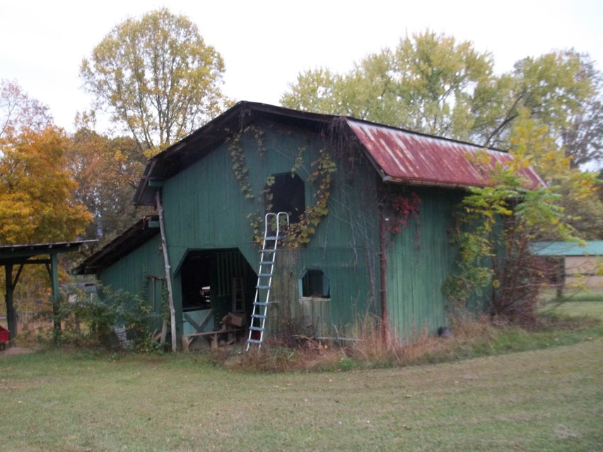 Photo #17: 520 Ivy Lane