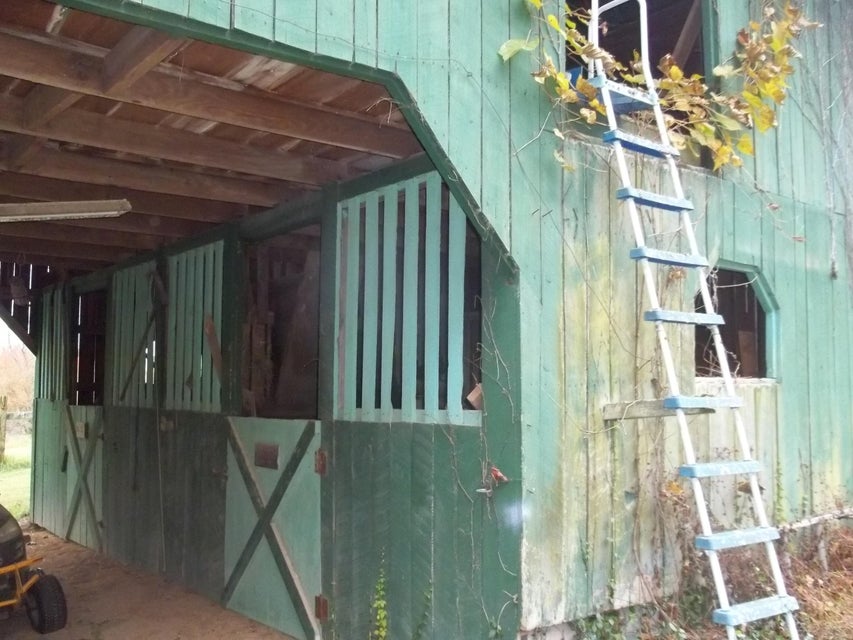 Photo #23: 520 Ivy Lane