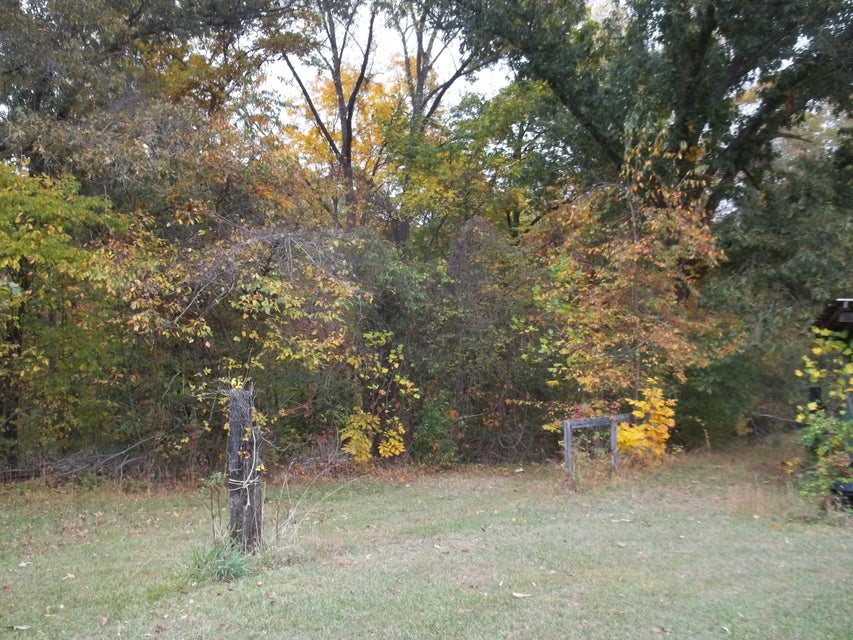 Photo #26: 520 Ivy Lane