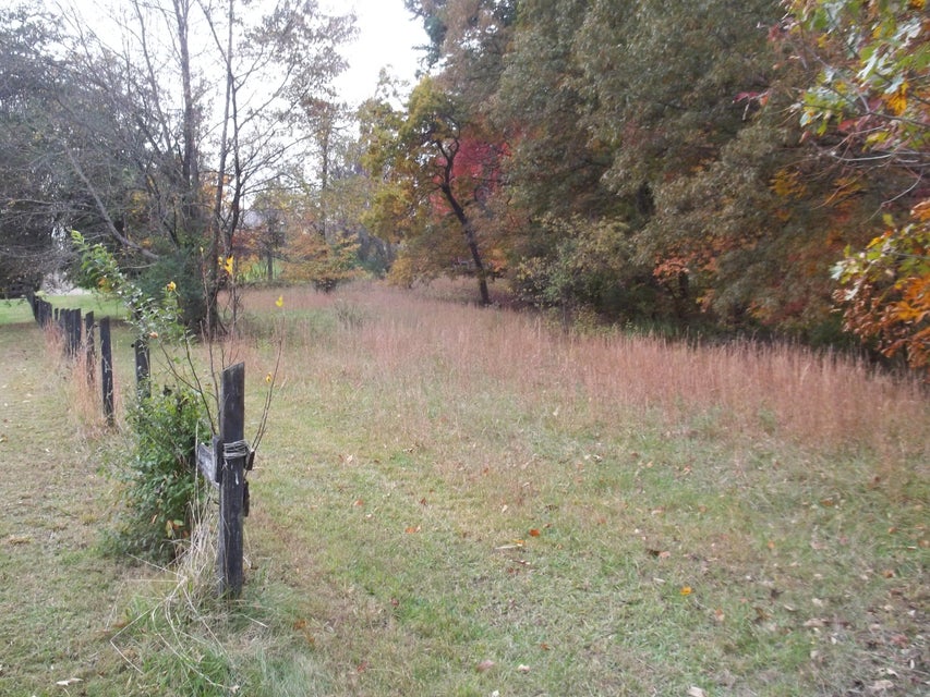 Photo #27: 520 Ivy Lane