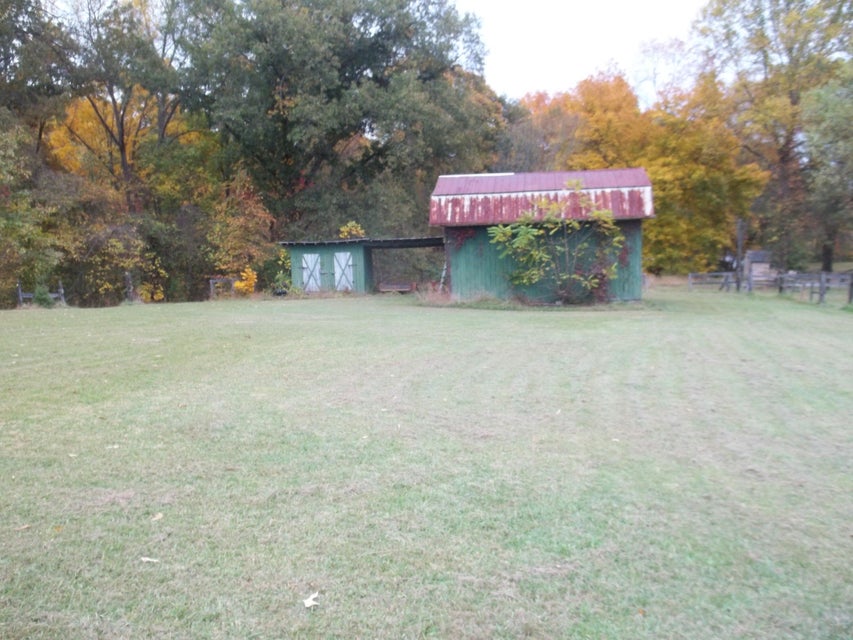 Photo #30: 520 Ivy Lane