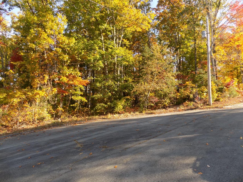 Photo #2: Tbd Lake Shadows Dr.