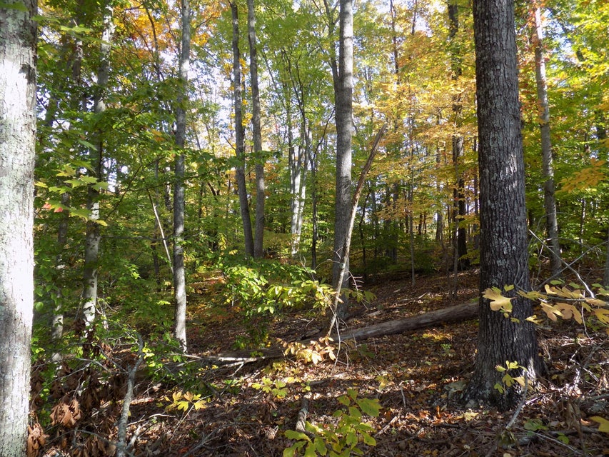 Photo #4: Tbd Lake Shadows Dr.