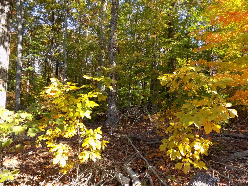 Photo #6: Tbd Lake Shadows Dr.
