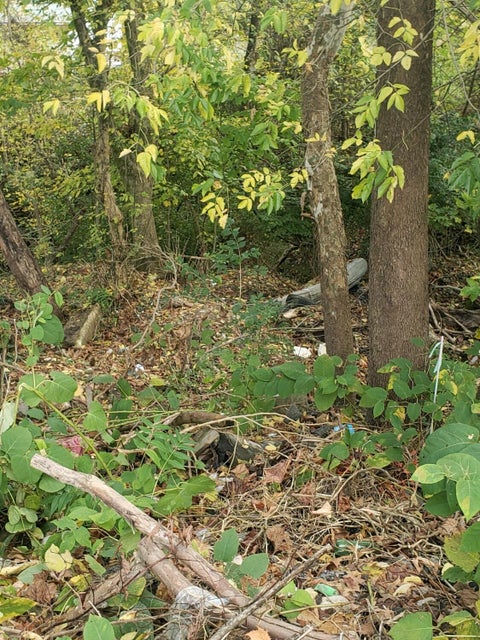 Photo #7: Tbd Reedy Creek Road