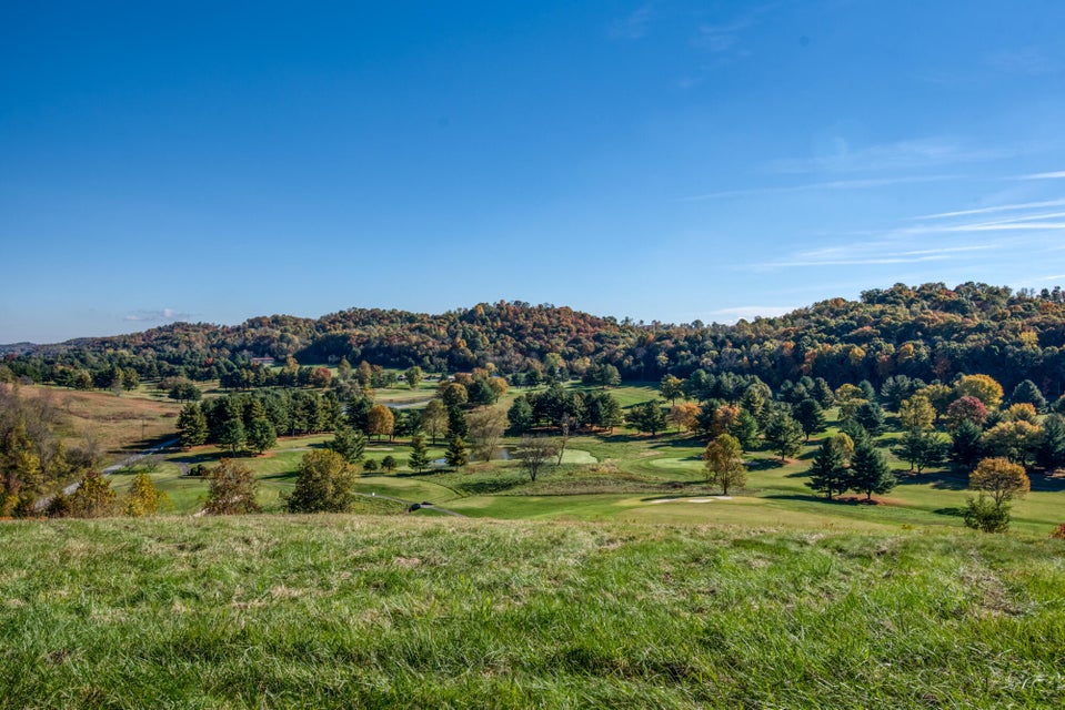 Photo #3: Lot 59 Chimney Top Lane