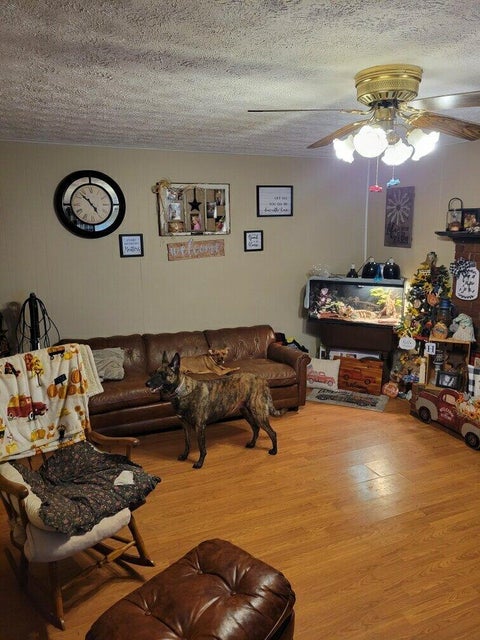 Photo #11: 1828 Derby Road
