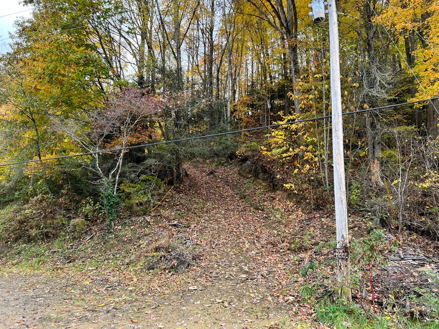 Photo #5: 905 Tiger Creek Road