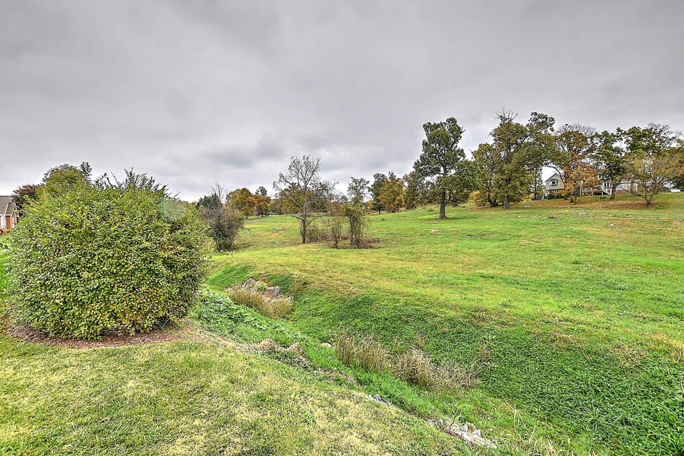 Photo #47: 230 Avonlea Place