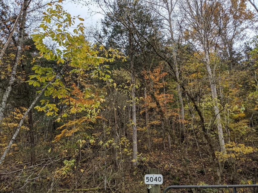 Photo #4: Tbd Clinch Mtn Road