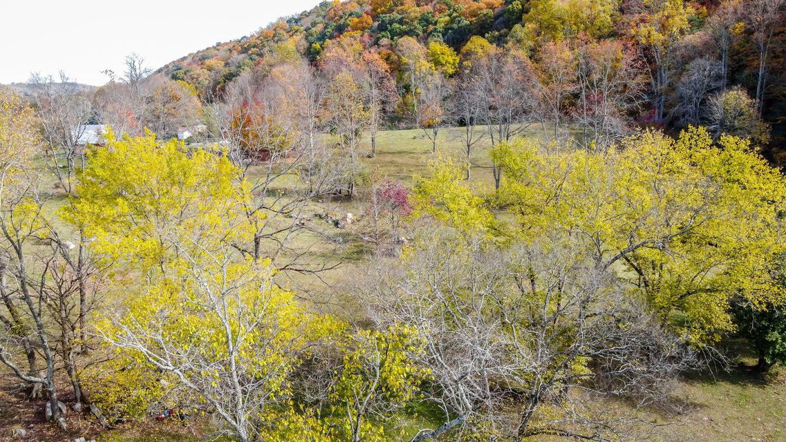 Photo #45: 1169 Cooks Valley Road