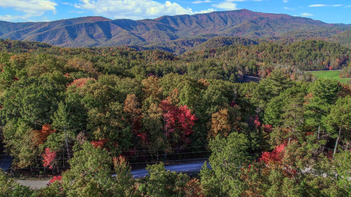 Photo #3: 21.49 Dogwood Stand Road