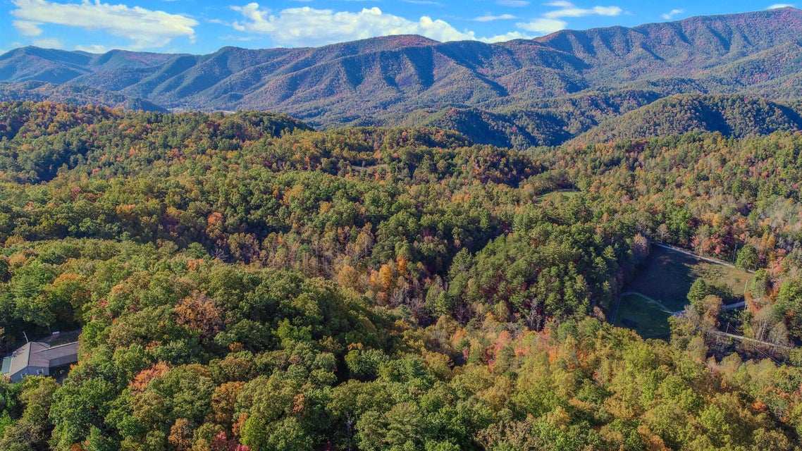 Photo #4: 21.49 Dogwood Stand Road