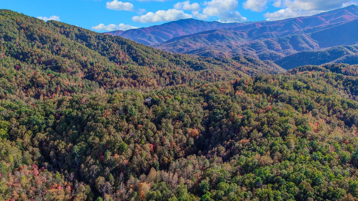 Photo #5: 21.49 Dogwood Stand Road