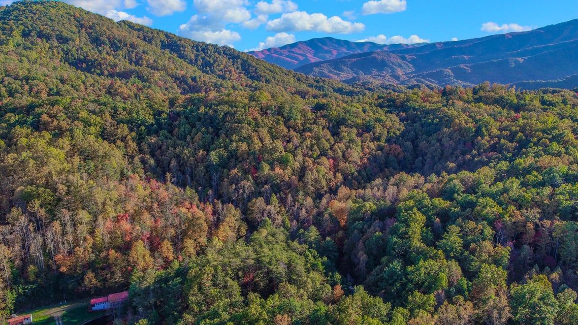 Photo #7: 21.49 Dogwood Stand Road
