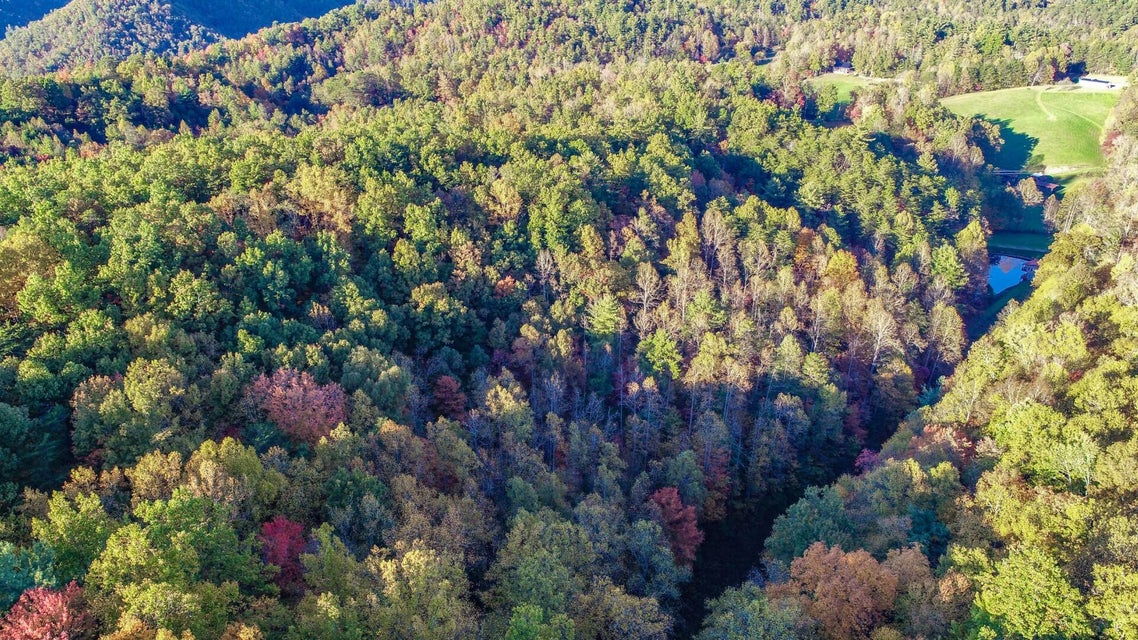 Photo #14: 21.49 Dogwood Stand Road