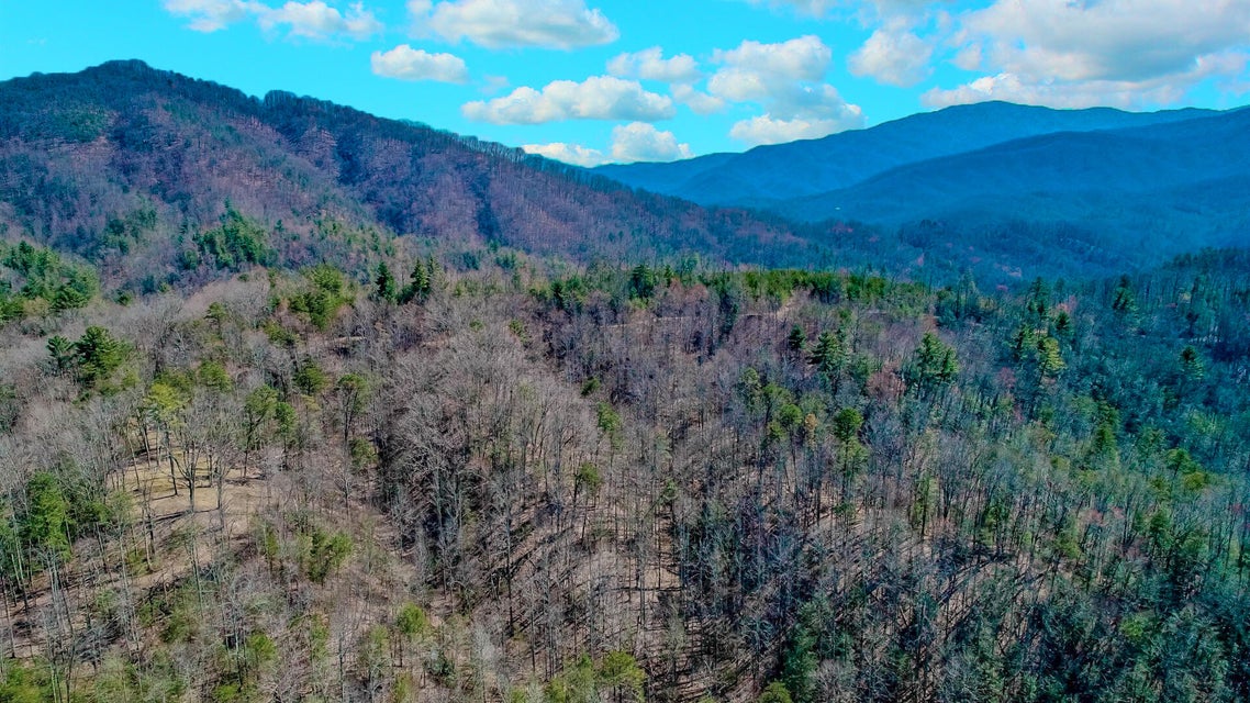 Photo #16: 21.49 Dogwood Stand Road