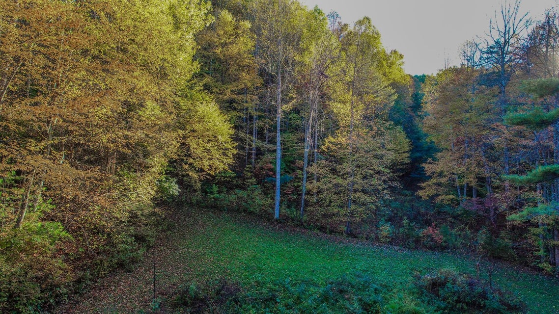 Photo #23: 21.49 Dogwood Stand Road