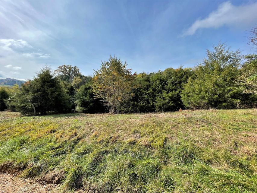 Photo #4: Lot 25 Winterpark Lane